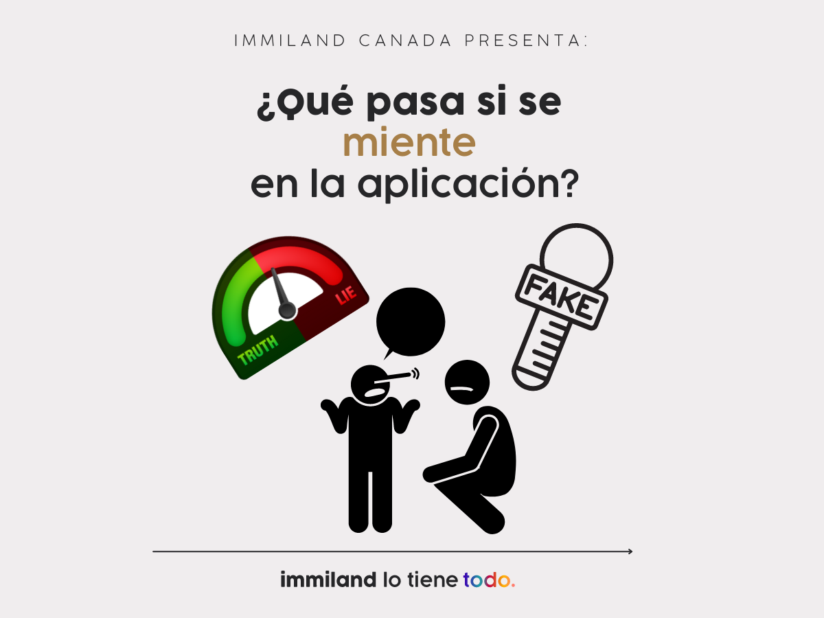 What happens if you lie on the application?